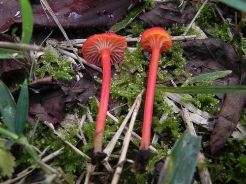 e0352220_21335411.jpg