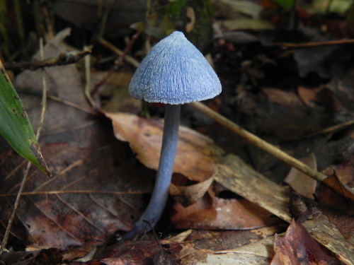 e0352220_21341599.jpg