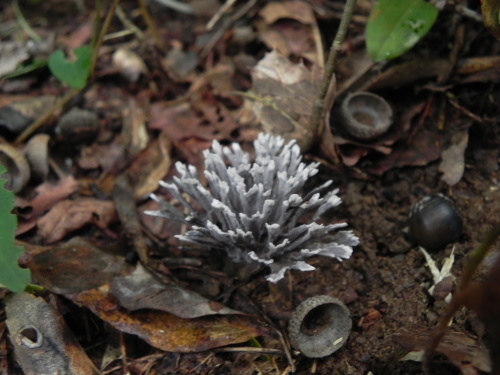 e0352220_21403086.jpg