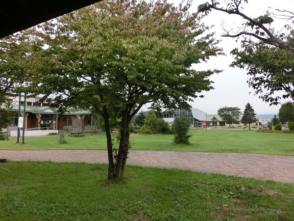 a0206621_9583213.jpg