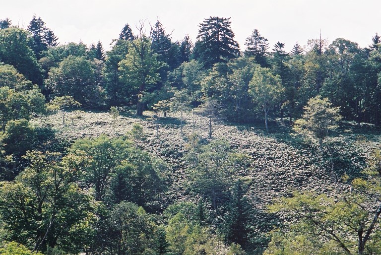 f0362725_17260466.jpg