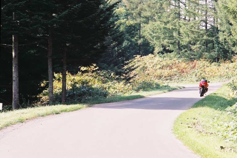 f0362725_17280431.jpg
