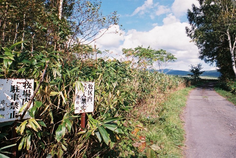 f0362725_17453121.jpg