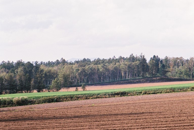 f0362725_17482050.jpg