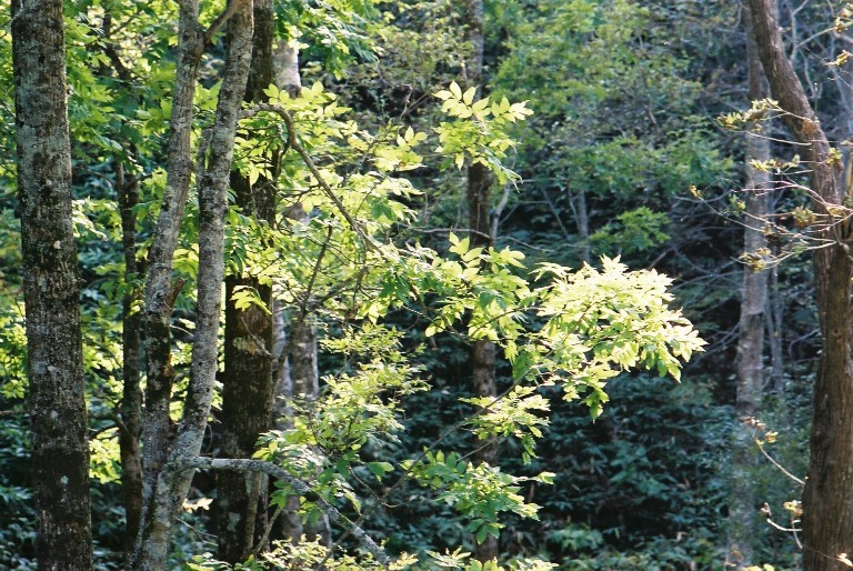 f0362725_17494361.jpg