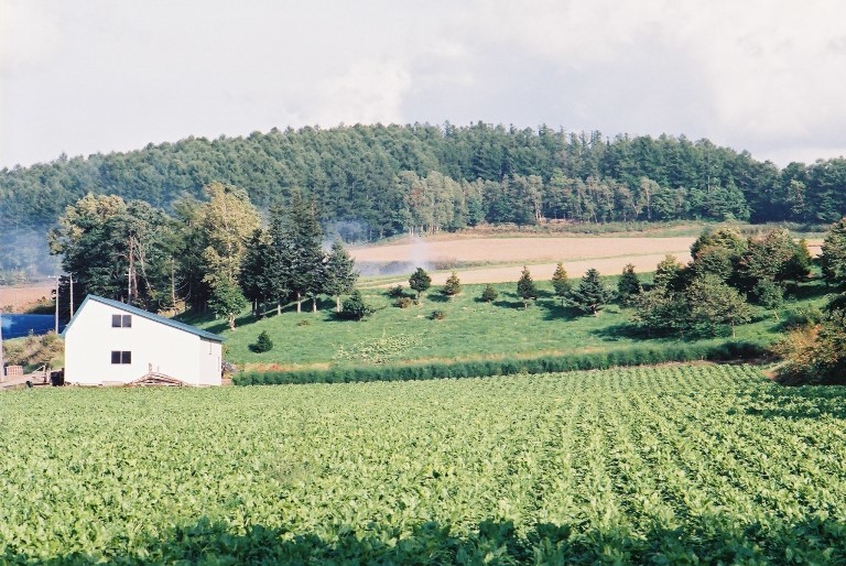 f0362725_17501455.jpg