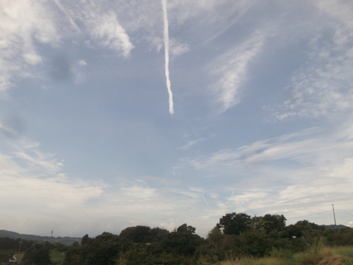 b0137932_16404273.jpg