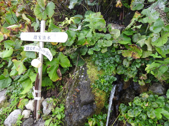 f0118332_1535681.jpg