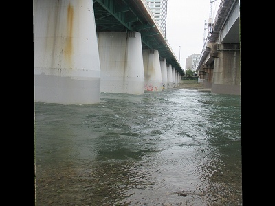 f0321433_23045821.jpg