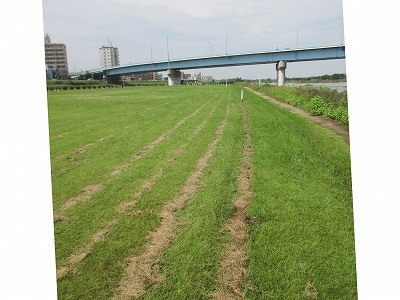 f0321433_23133459.jpg