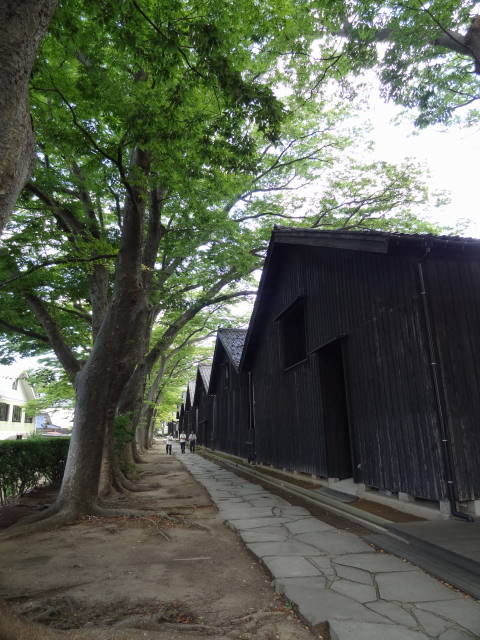 b0117437_1728272.jpg