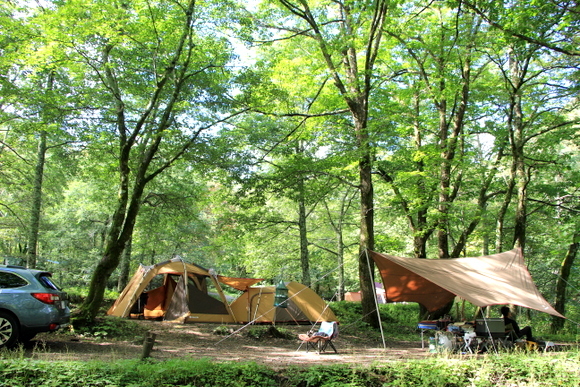 e0234741_22082042.jpg