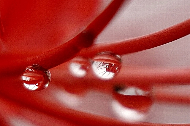 b0122448_07333205.jpg