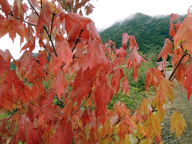 b0122448_07334249.jpg