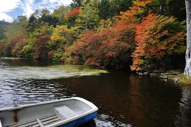 b0122448_07335276.jpg