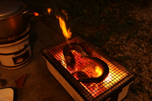 c0074553_884982.jpg