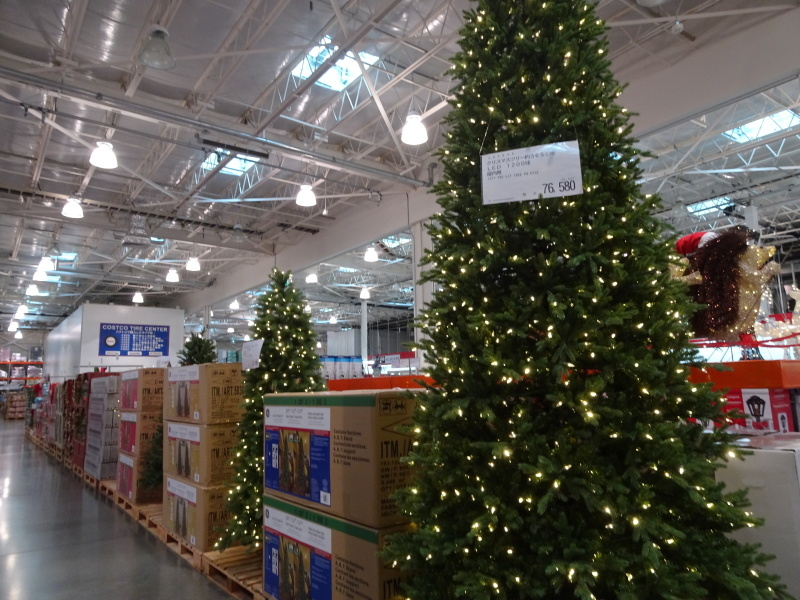 c0108460_21355450.jpg