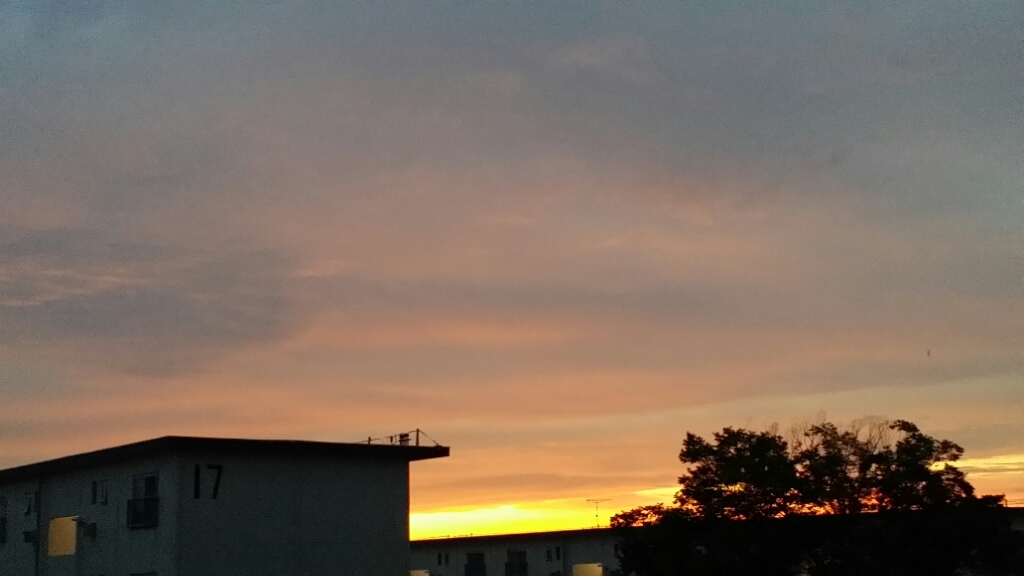 d0261061_05343896.jpg