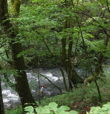 b0304662_20241418.jpg