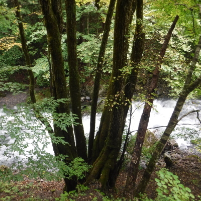 b0304662_20252348.jpg