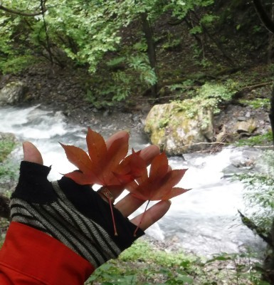 b0304662_20290089.jpg