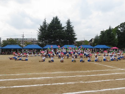 b0096463_8462714.jpg