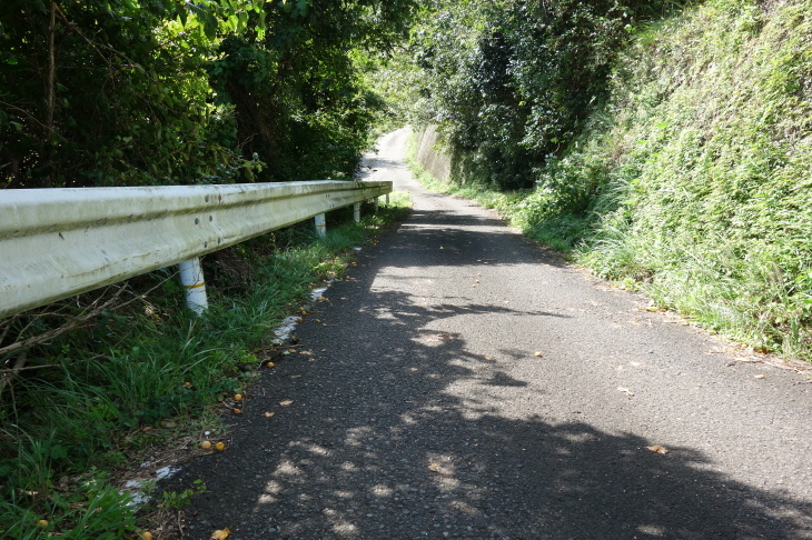 e0350463_19105182.jpg