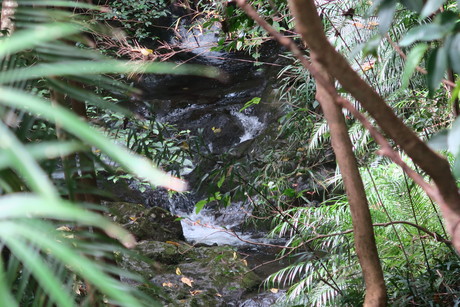 e0292172_2040102.jpg