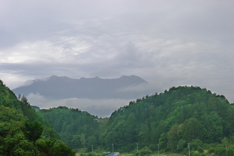 a0130586_17414675.jpg