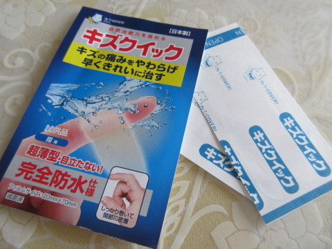 c0310987_11512279.jpg