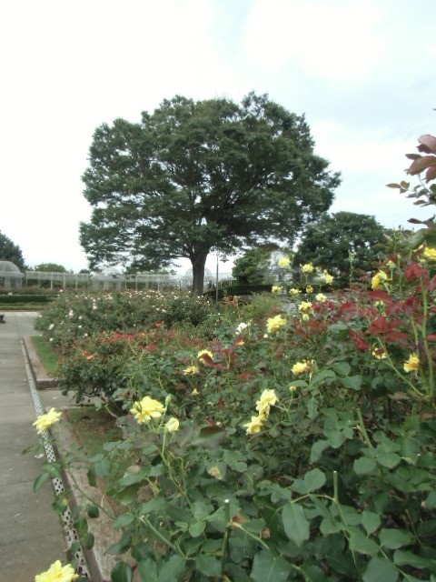 e0114588_14591713.jpg