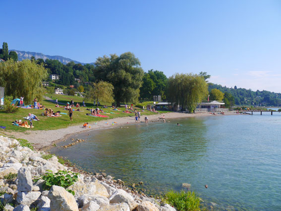 b0107891_4332084.jpg
