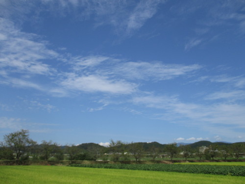 d0333091_20334817.jpg