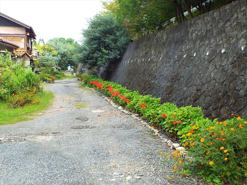 c0108198_1637661.jpg