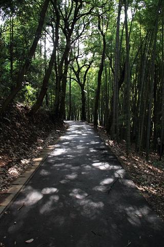 e0184598_13335221.jpg