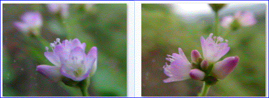 f0231709_1062644.gif