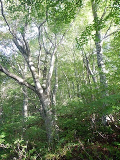 c0359615_20184987.jpg
