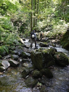 c0359615_20222087.jpg