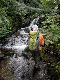 c0359615_20223480.jpg
