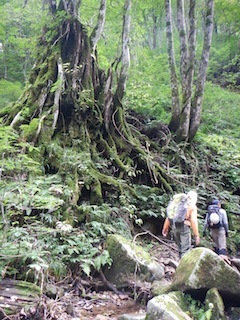 c0359615_20232276.jpg