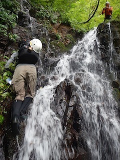 c0359615_20233912.jpg