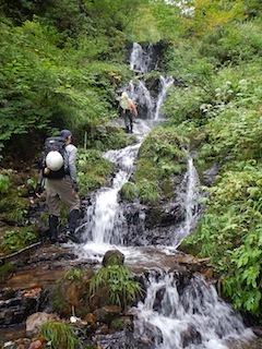 c0359615_20235573.jpg