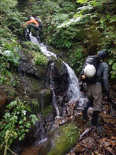 c0359615_20250475.jpg