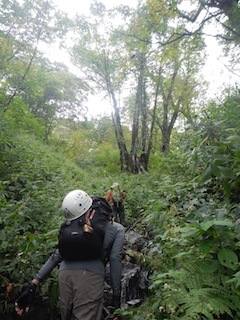 c0359615_20260991.jpg