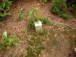 c0359615_20262043.jpg