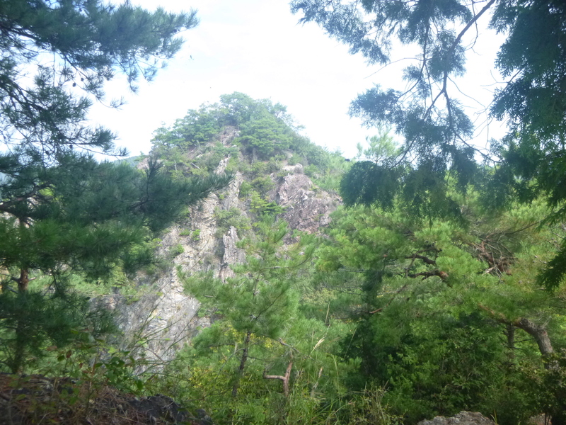 d0170615_1549243.jpg