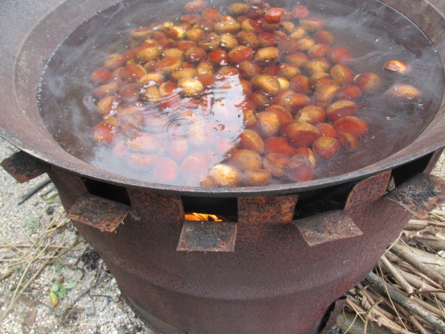 f0341616_17054792.jpg