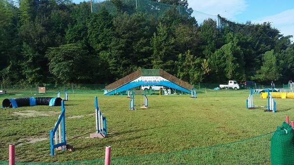 e0190220_834821.jpg