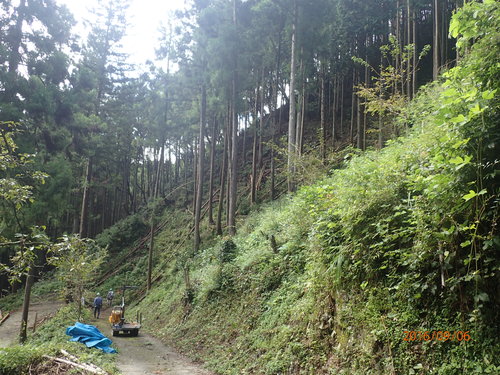 e0138321_4291798.jpg