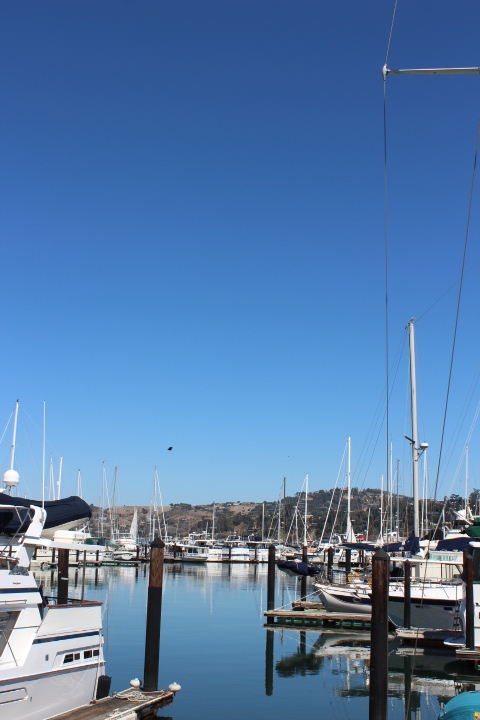 c0327528_08102742.jpeg